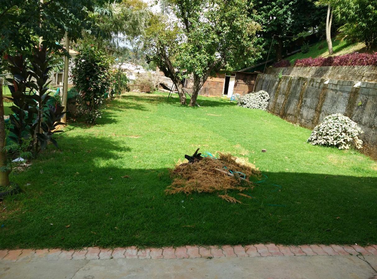 Celestial Resorts Kotagiri Buitenkant foto
